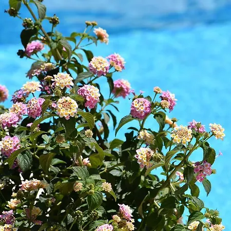 Konukevi La Dei Graniti Villasimius